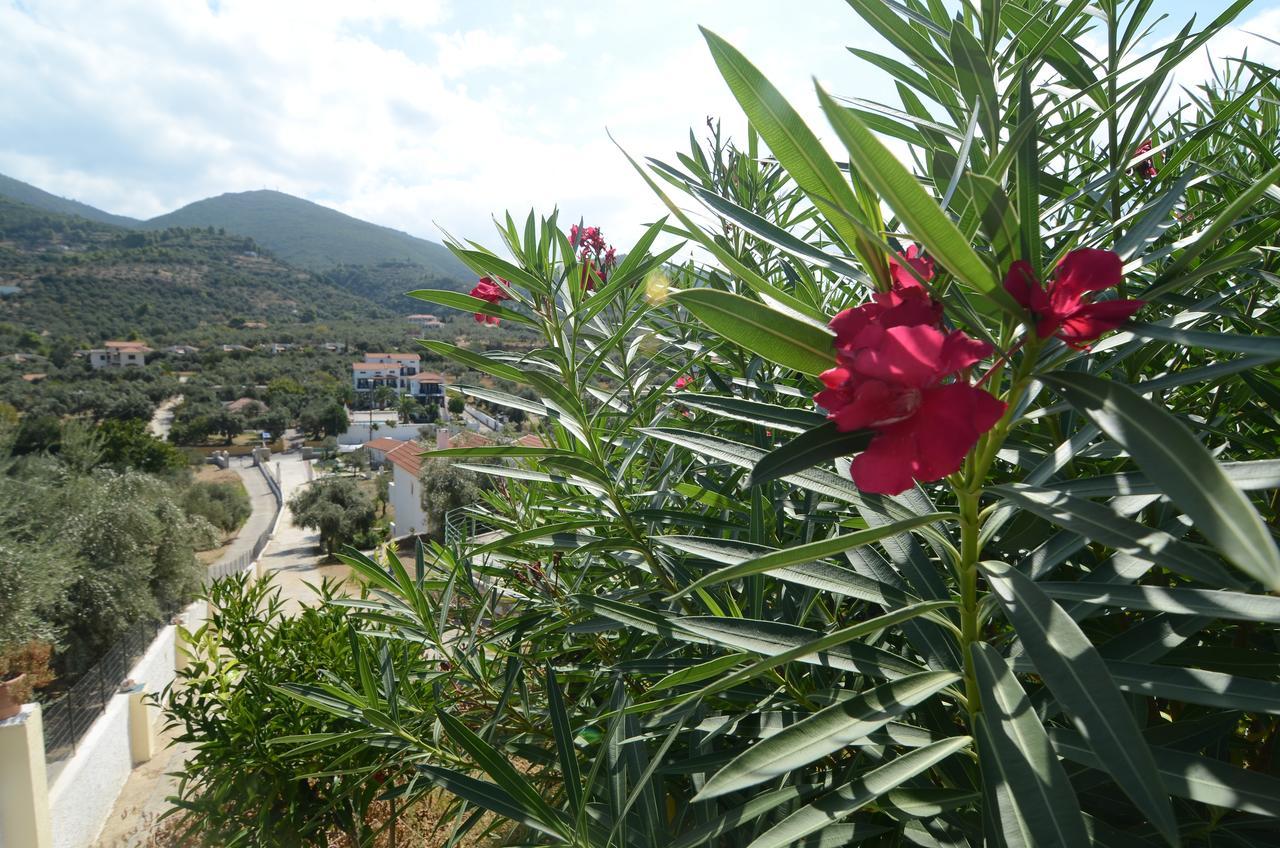 Apartament Liofoto Skopelos Zewnętrze zdjęcie