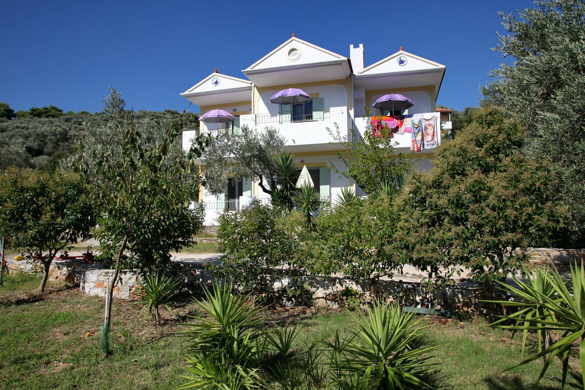 Apartament Liofoto Skopelos Zewnętrze zdjęcie