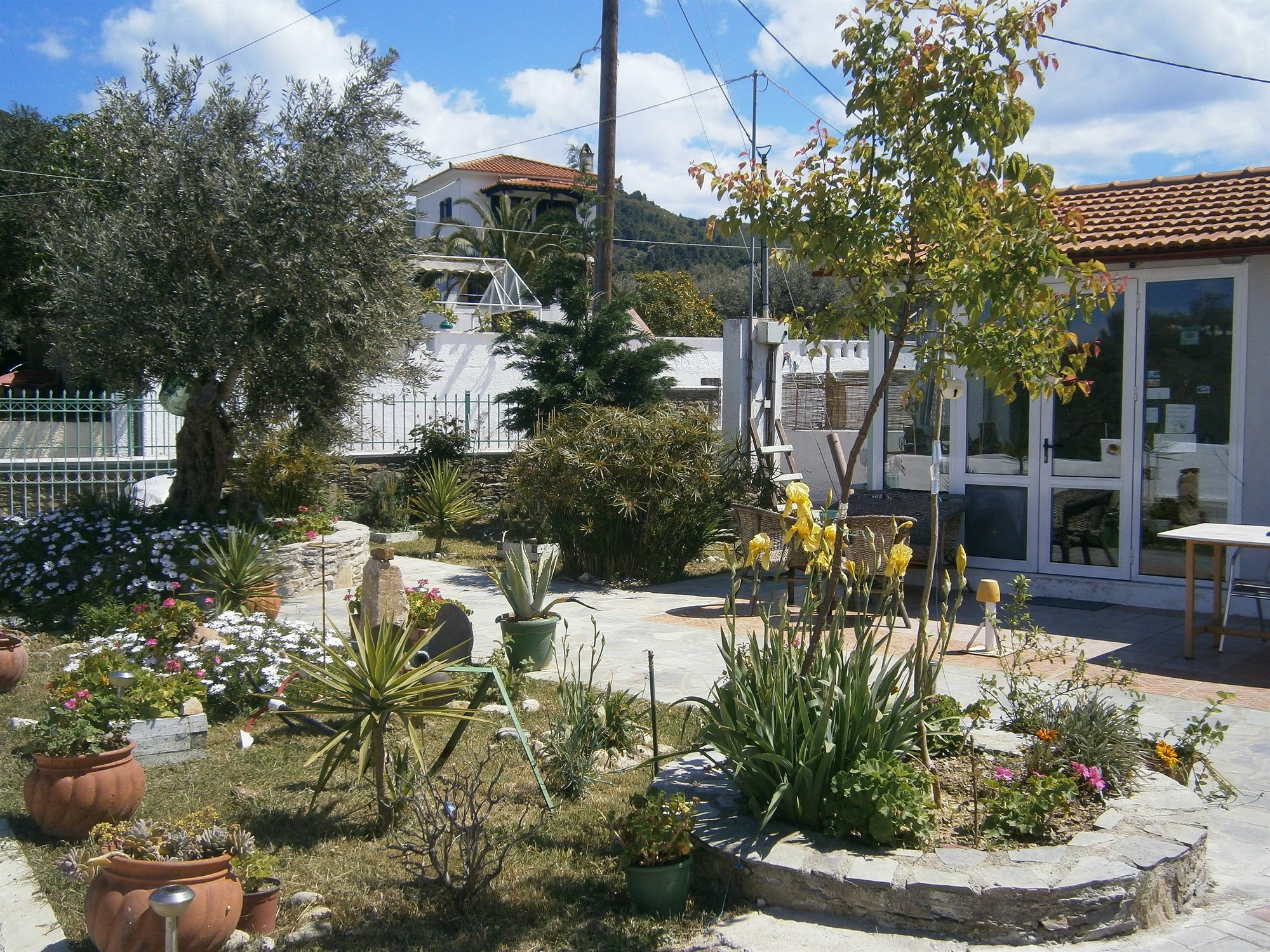 Apartament Liofoto Skopelos Zewnętrze zdjęcie
